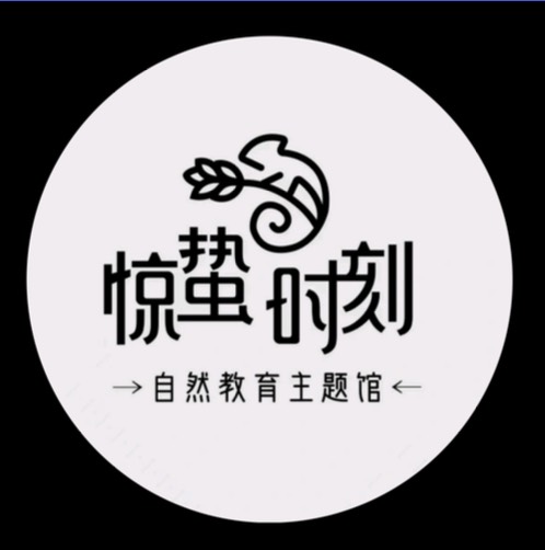 娱乐场景合作伙伴