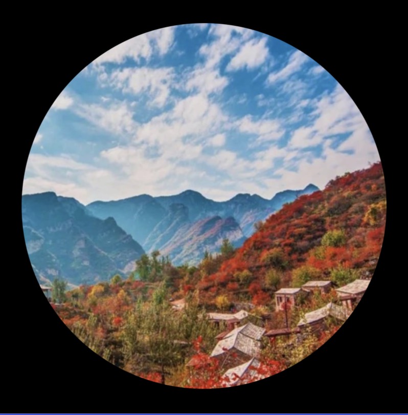 娱乐场景合作伙伴